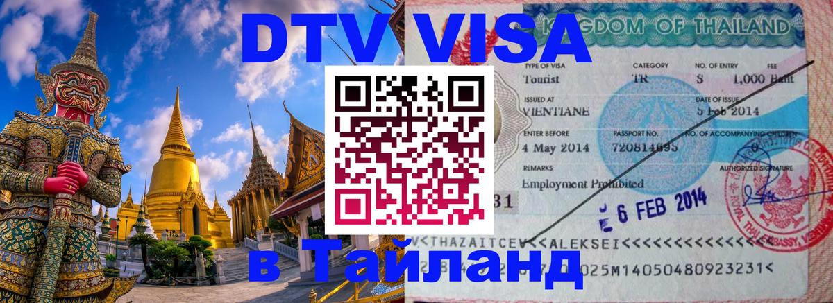 Оформление DTV визы под ключ: стоимость и тарифы, только загранпаспорт - 